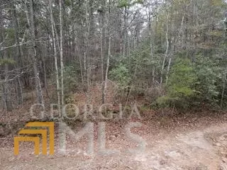 Young Harris, GA 30582,LT 3&4 Double Springs Rd