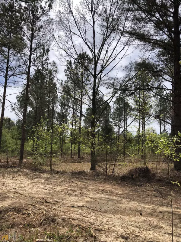 Pine Mountain, GA 31822,32.68 AC Hamilton