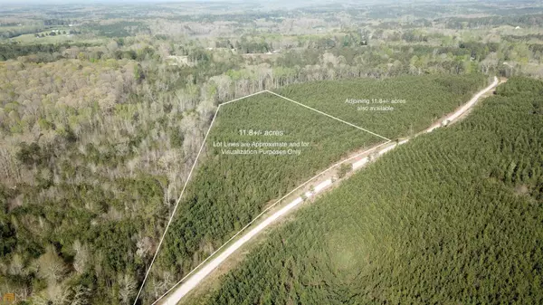 0 TRACT 2 Lucky, Bowdon, GA 30108