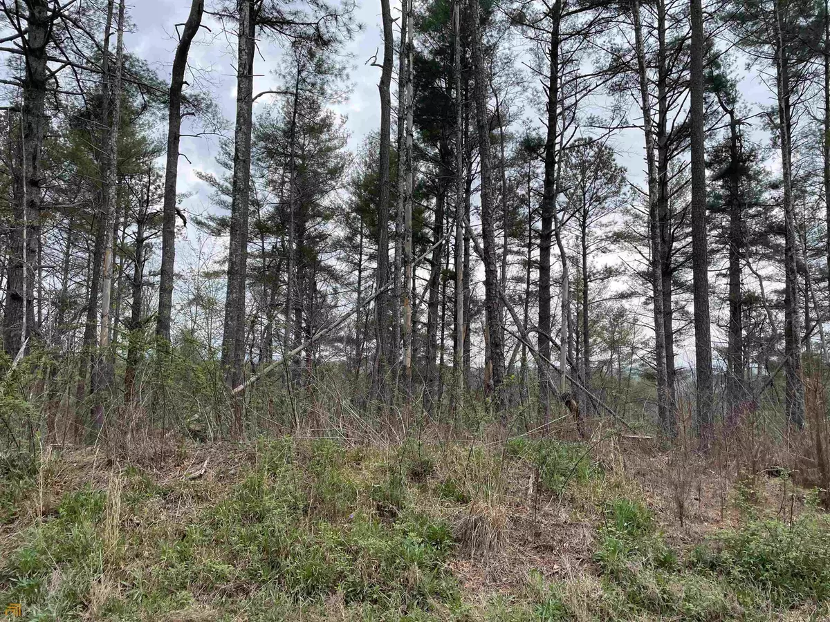 Ellijay, GA 30540,LOT 132 Jumper Drive