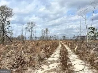 0 S Sparta Davisboro Road RD, Warthen, GA 31094