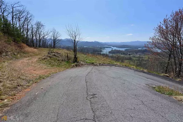 Hayesville, NC 28904,0 Bell Lake