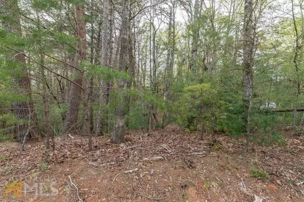 Ellijay, GA 30540,LOT 79 Oconee Court