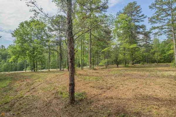 Martin, GA 30577,5.3 ACRES Hardy Farms Road