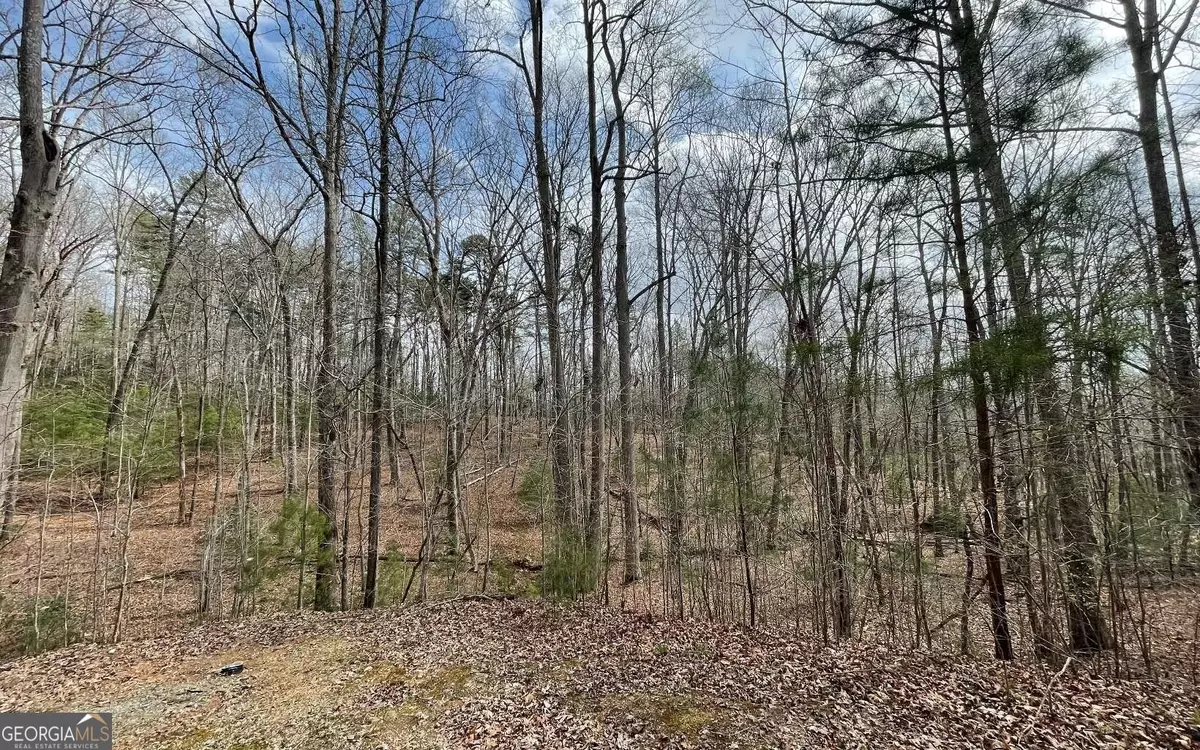 Blairsville, GA 30512,LOT 11 Pinnacle