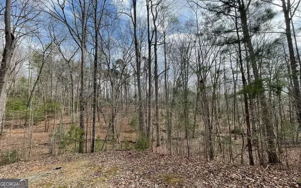 LOT 11 Pinnacle, Blairsville, GA 30512