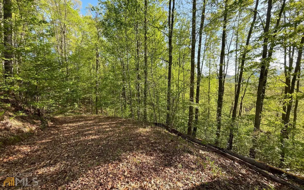 Hayesville, NC 28904,LOT 1C Lakewood Hills