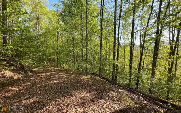 LOT 1C Lakewood Hills, Hayesville, NC 28904