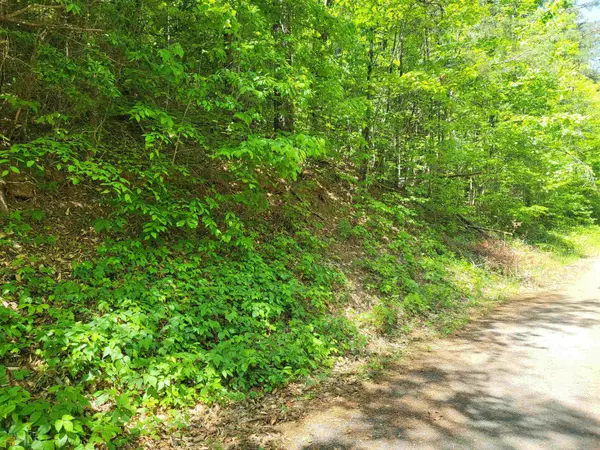 Hiawassee, GA 30546,1.05AC White Eagle Rd