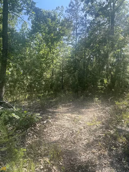 0 Little LN, Lula, GA 30554