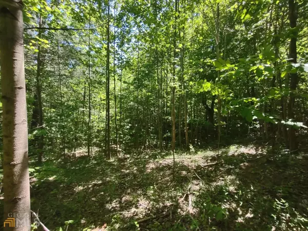 Ellijay, GA 30540,LOT 9 Meadow