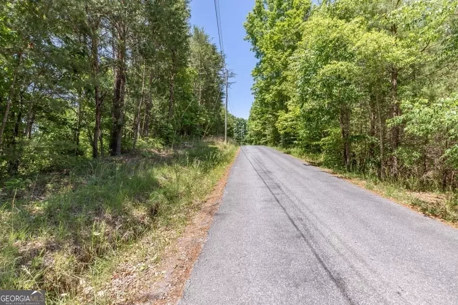 LOT 1771 Long Branch RD, Ranger, GA 30734