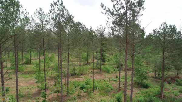 Pine Mountain, GA 31822,59.9522 AC Salem Chipley