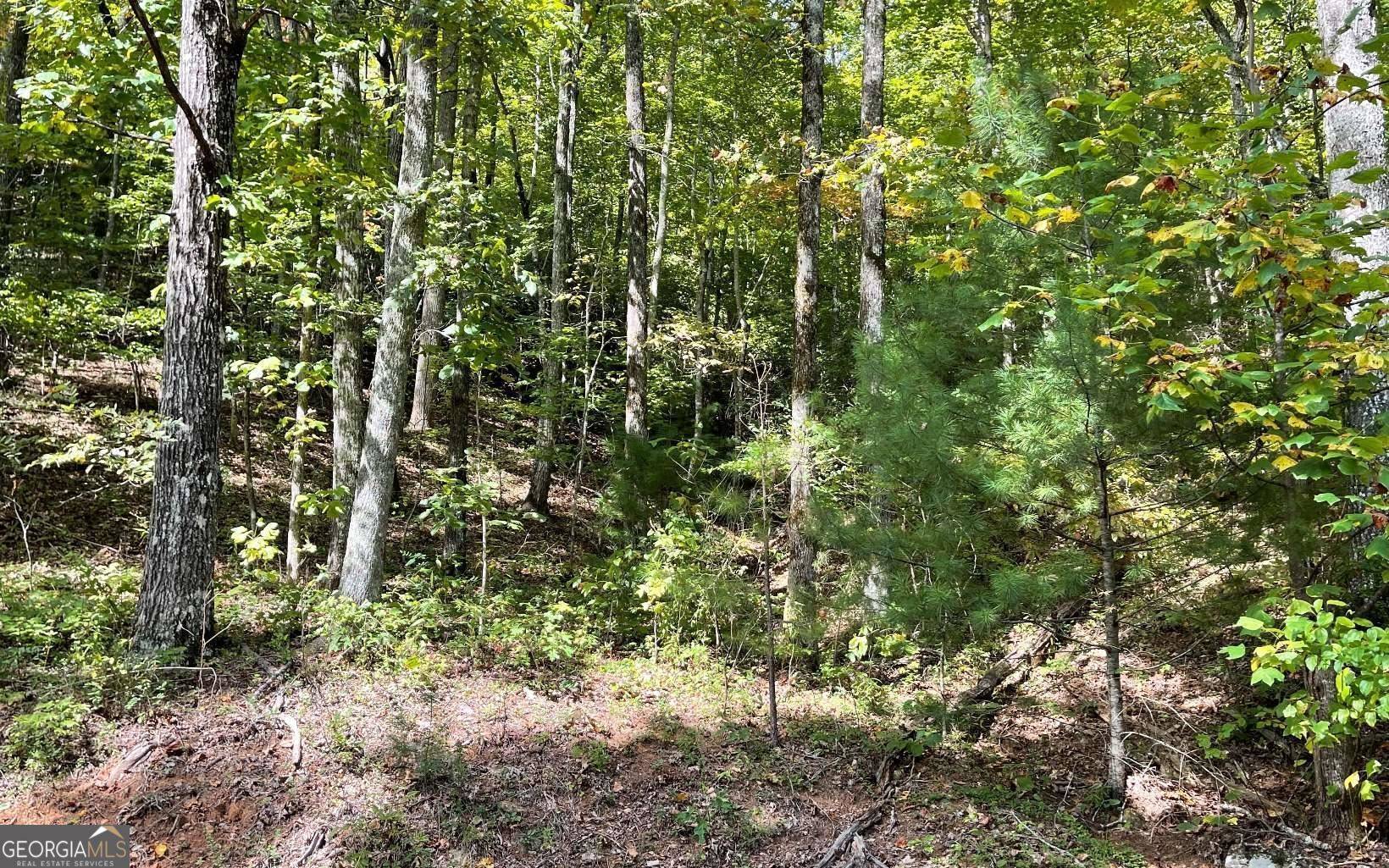 Hayesville, NC 28904,LOT 31 Nelson RDG