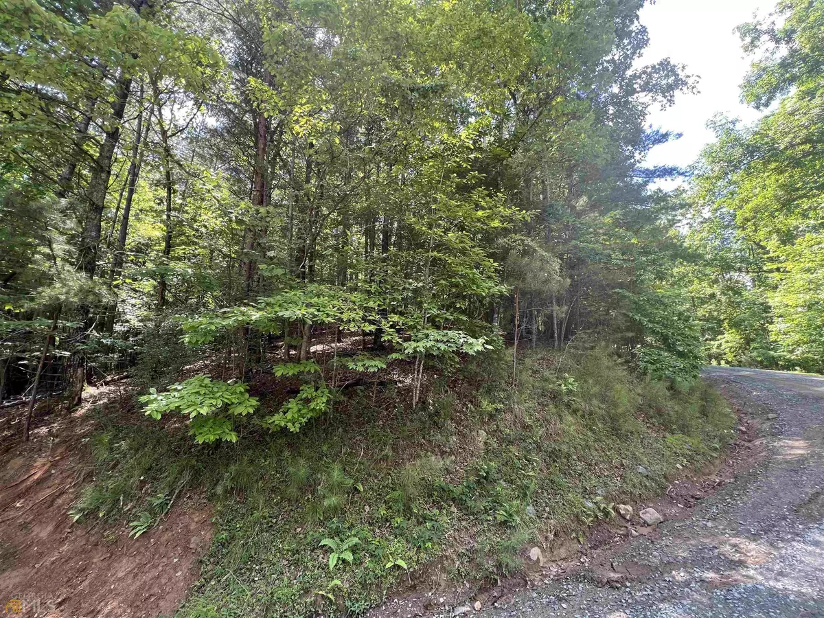 Ellijay, GA 30540,LT149 Alcan Way