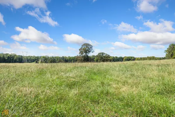 Lagrange, GA 30241,40+- ACRES Hines / Towns RD