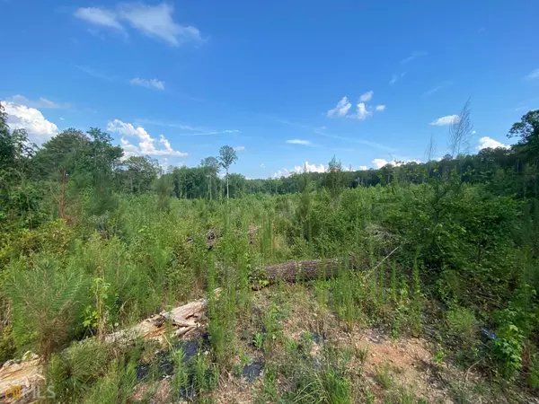 Pine Mountain Valley, GA 31823,00 Copeland RD