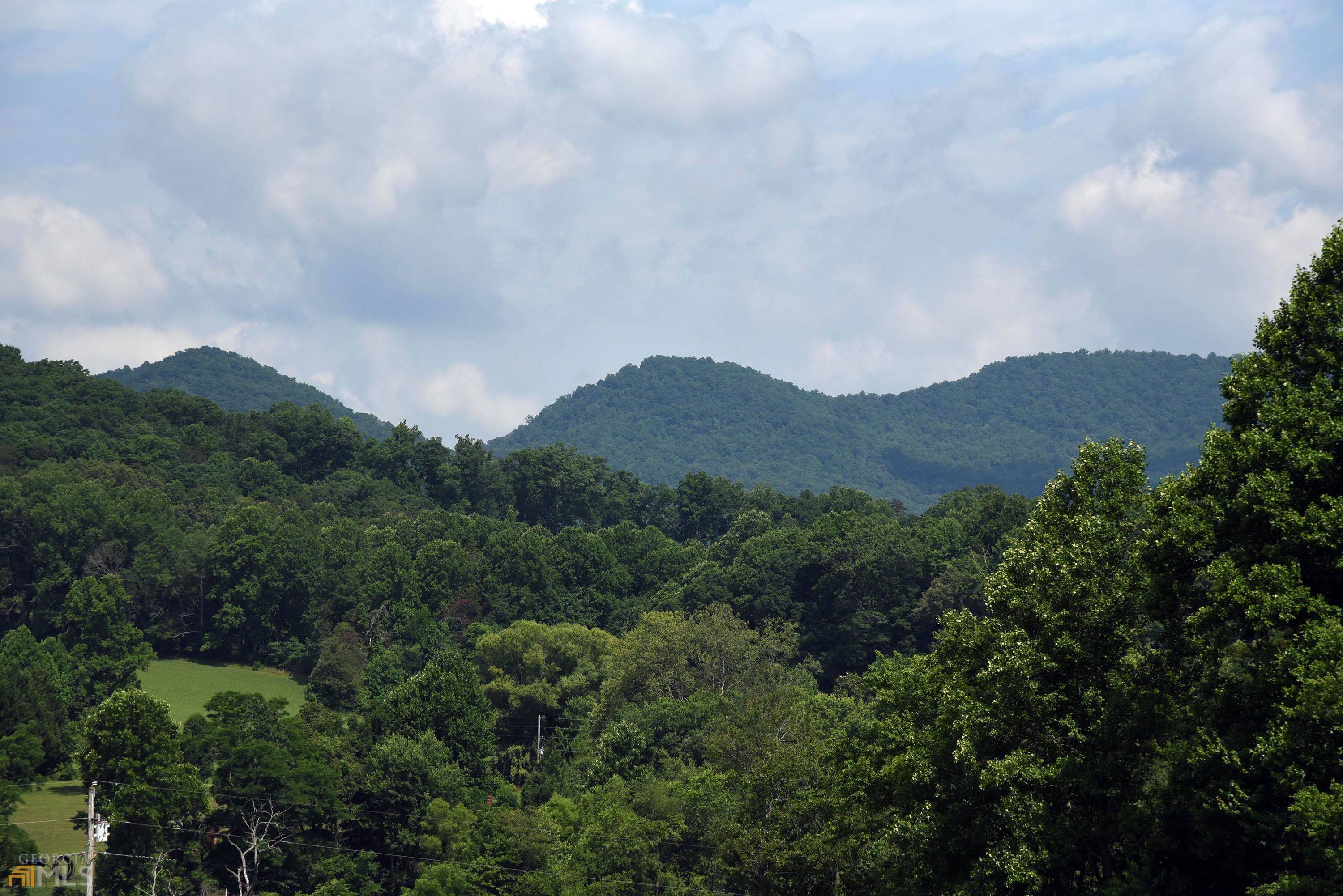 Blairsville, GA 30512,5.065 ACRES Old Sod Lane