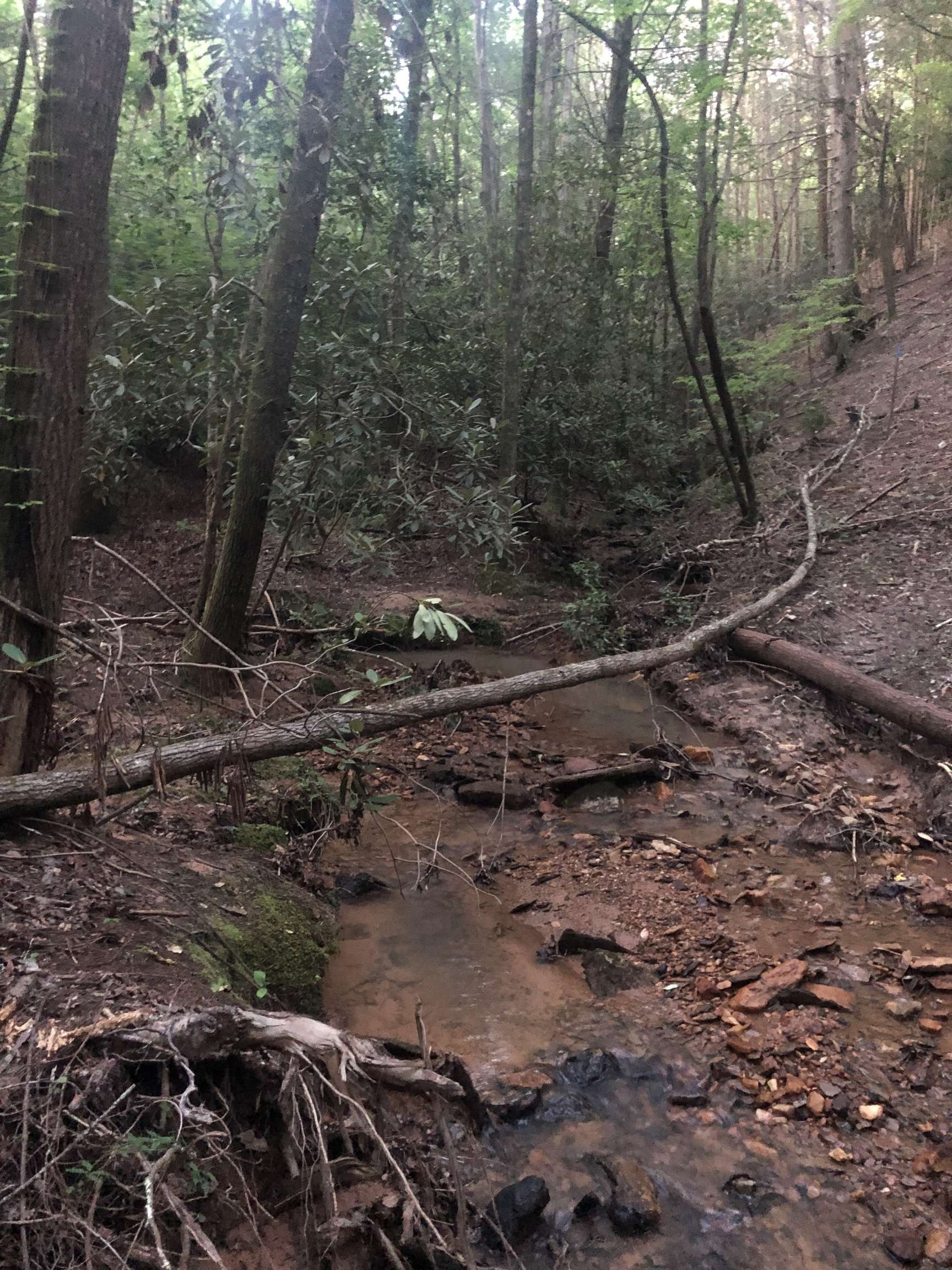 LOT 10 Etowah River Estates, Dahlonega, GA 30533