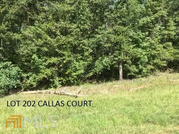 Sparta, GA 31087,LOT 202 Callas Ct