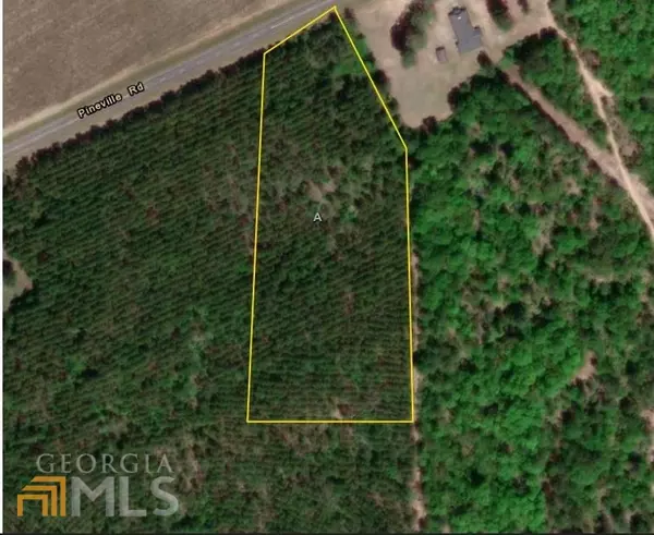 Buena Vista, GA 31803,0 PINEVILLE Rd Tract A