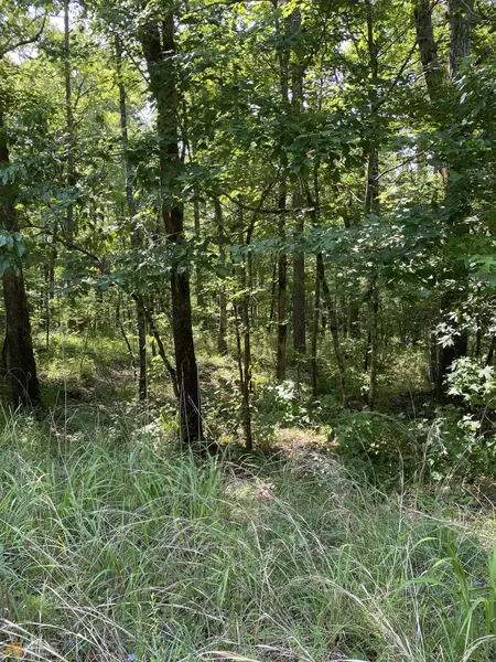 LOT 25 Camellia, Sparta, GA 31087