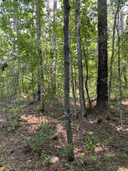 LOT 632 Shortleaf, Sparta, GA 31087