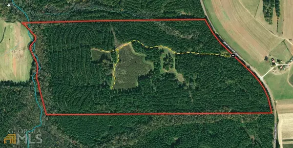 115.551 AC Wallace, Pine Mountain, GA 31822