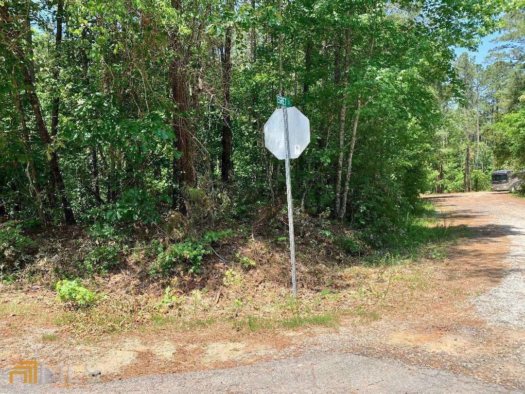 Monticello, GA 31064,0 Egret CT #LOT 41