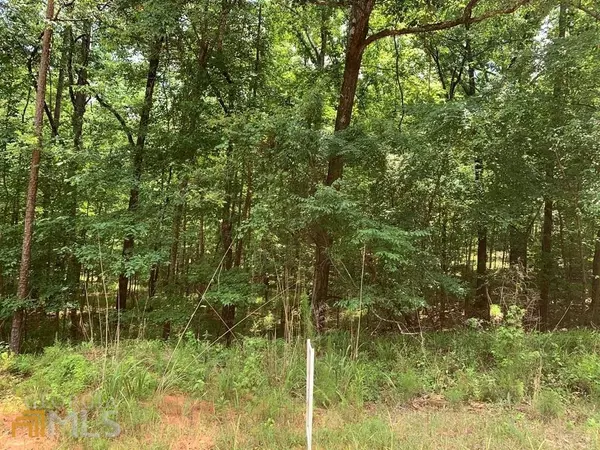 Sparta, GA 31087,LOT 117 Old Ferry Rd