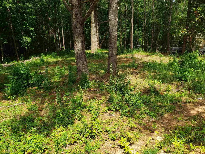 229 Herring RD, Newnan, GA 30265