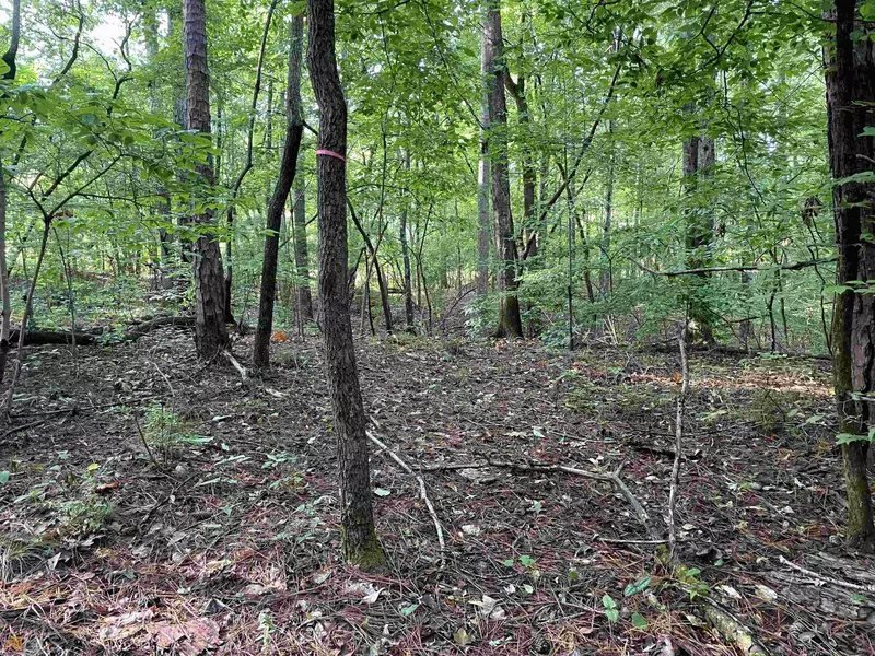 1035 County Rd 450, Lanett, AL 36863