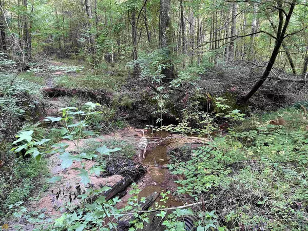 Lanett, AL 36863,1035 County Rd 450