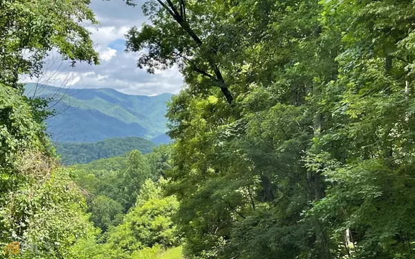 Hayesville, NC 28904,LOT 5 North