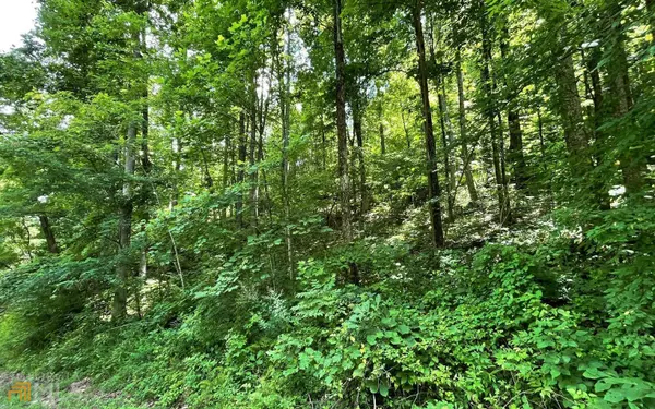 Hayesville, NC 28904,LOT 5 North