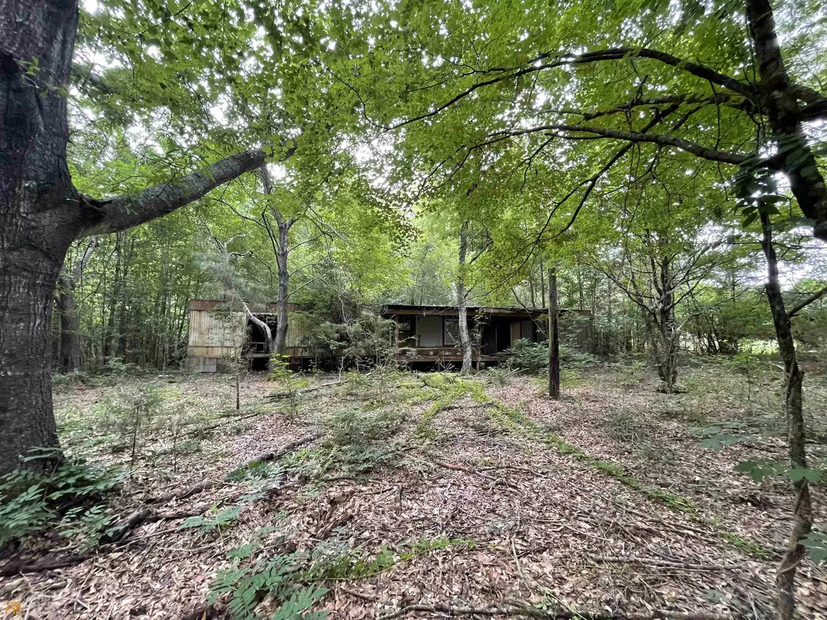Zebulon, GA 30295,3353 Chapman RD