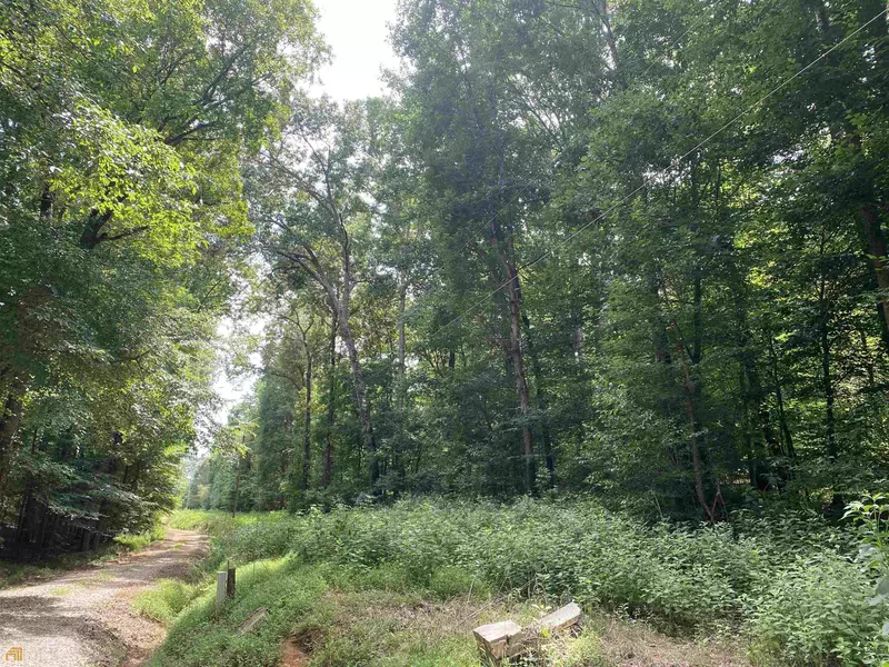 225 Dickson DR, Danielsville, GA 30633