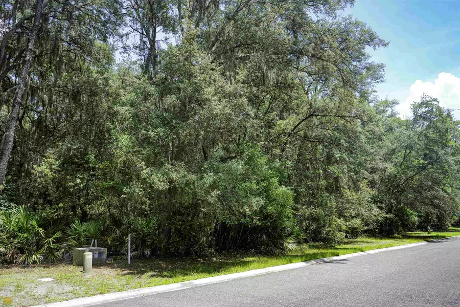 0 Overhand CT #V/L 425, St. Marys, GA 31558