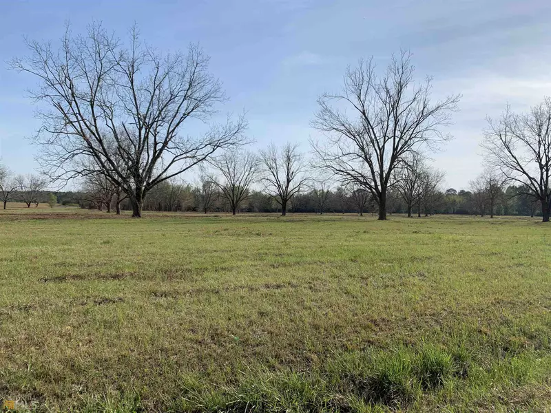 LOT 6 Industrial, Hawkinsville, GA 31036