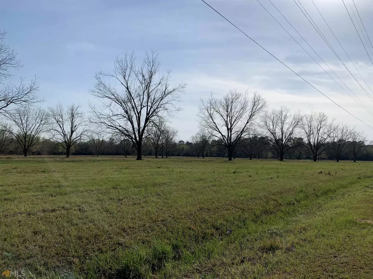 Hawkinsville, GA 31036,LOT 13 East ST