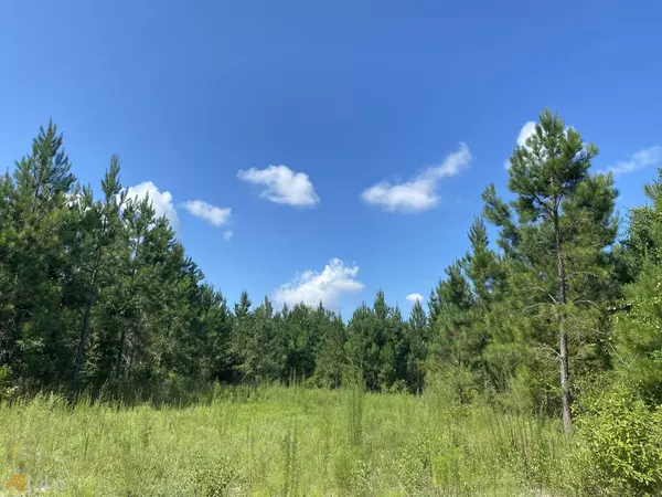 Blakely, GA 39823,02 Wilkie Mosley RD