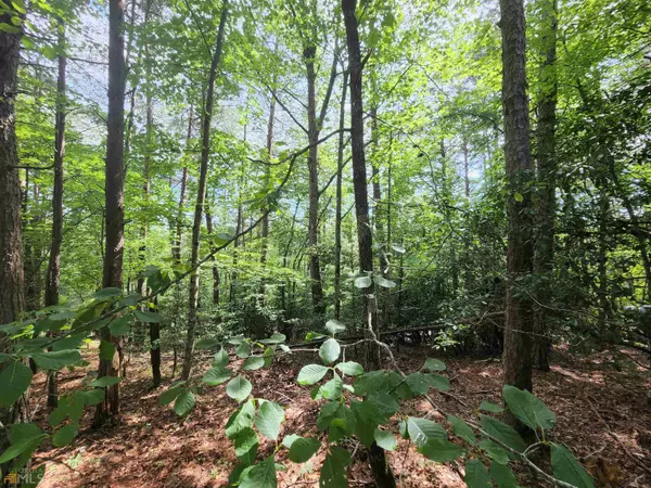 LOT 107 Rosen Strasse, Helen, GA 30545