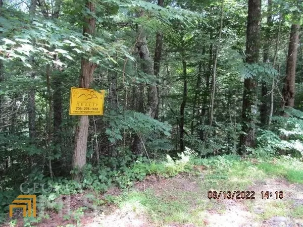 Murphy, NC 28906,LOT 30 White Oak