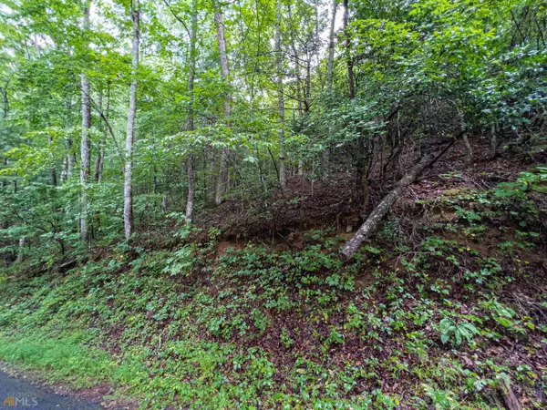 Hiawassee, GA 30546,LT4 White Oak Forest