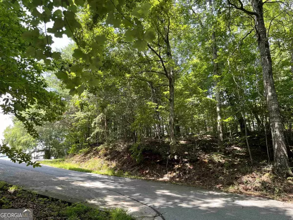 #7 Mountain Drive North, Hiawassee, GA 30546