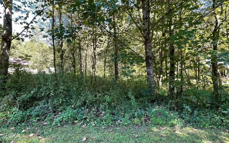 LOT 4 Conner LN, Hayesville, NC 28904