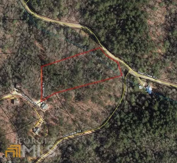 Sautee Nacoochee, GA 30571,3.41 AC Bean Creek Road Wolf Howl