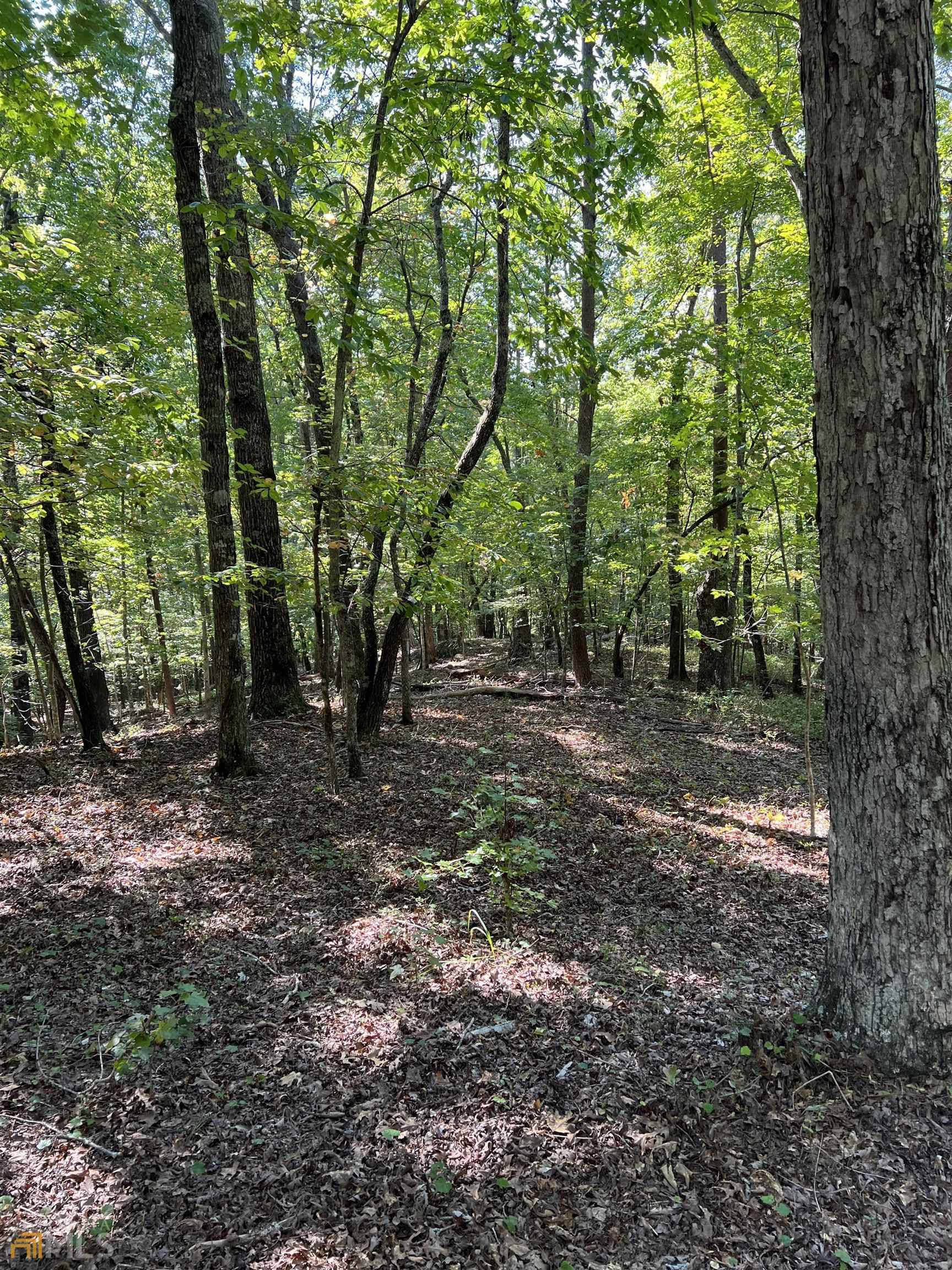0 Yeoman Lake RD, Clarkesville, GA 30523