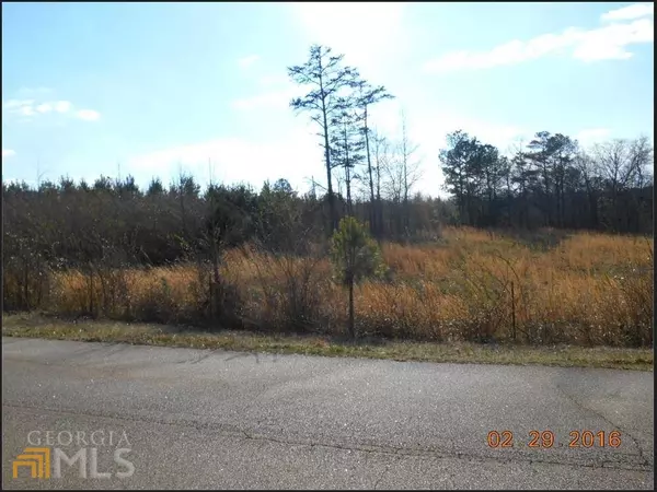 Bowdon, GA 30108,VACANT 5 ACRES Rance Foster