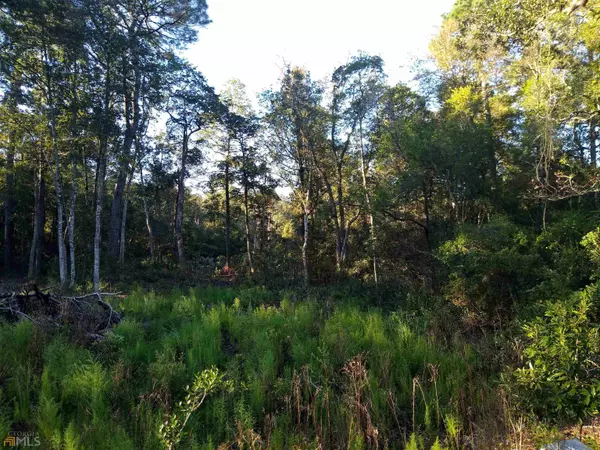 Pembroke, GA 31321,2095 Live Oak LN